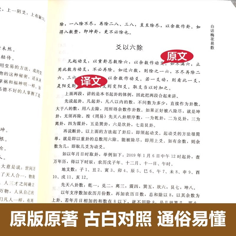 Plum Blossom Yishu philosophy, Zhouyi interpretation, Plum Blossom Yishu books