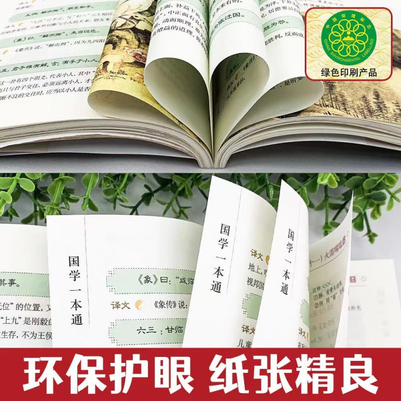 I Ching Color Picture Complete Solution Books