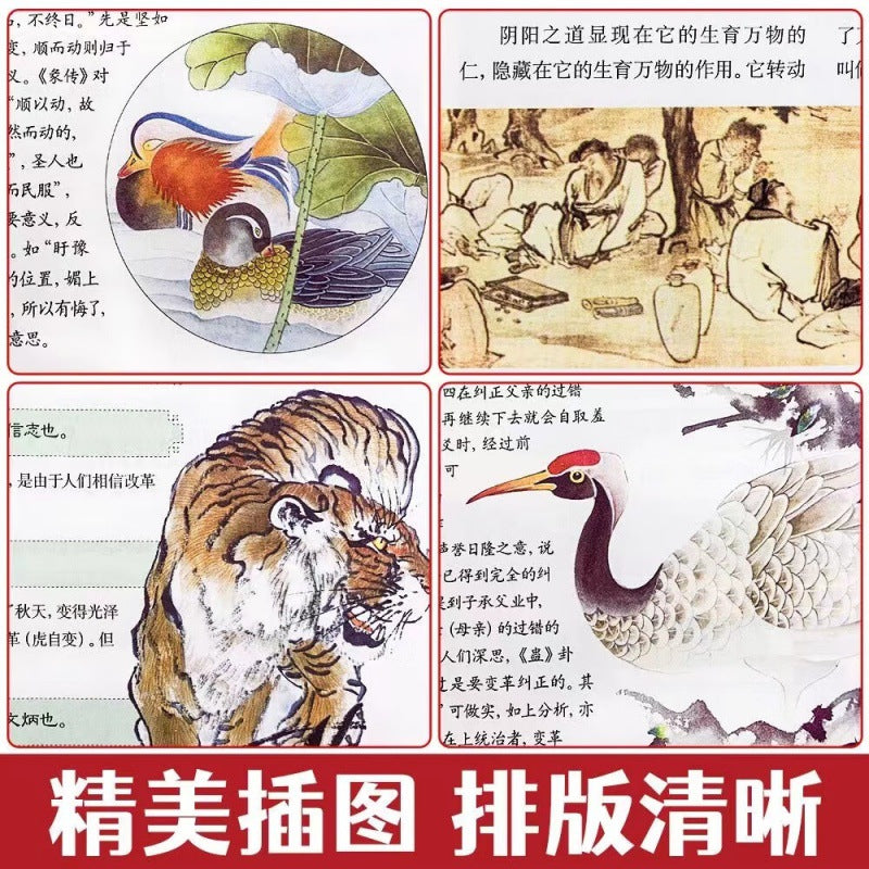 I Ching Color Picture Complete Solution Books